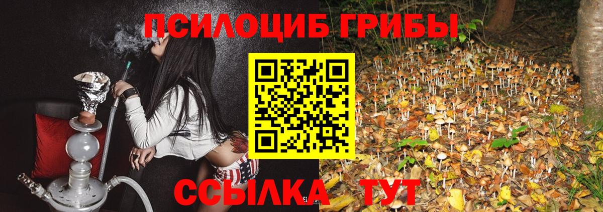 Сертолово  Псилоцибиновые грибы Psilocybe  Вход с VPN  Псилоцибиновые грибы мухоморы 