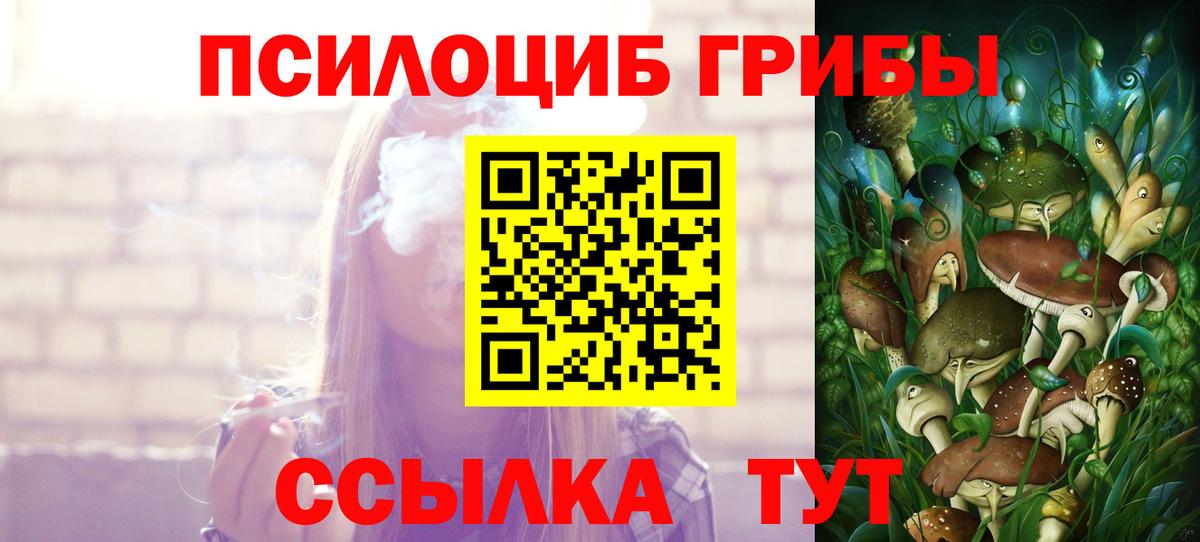 Псилоцибиновые грибы MAGIC MUSHROOMS Сертолово